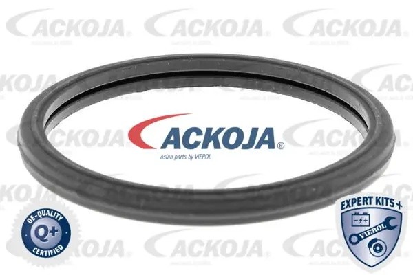 Деталь A70-99-0013 ACKOJA