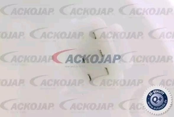 Насос электрический топливной системы в сборе A52-09-0027 ACKOJA
