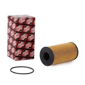 8033001454383 10ECO068 ASHIKA