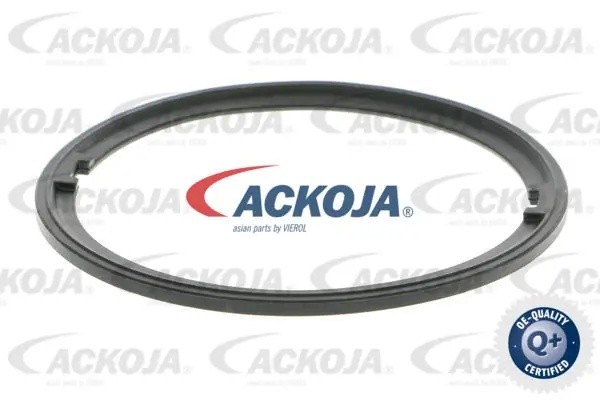 Насос электрический топливной системы в сборе A52-09-0027 ACKOJA