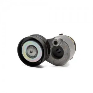 Натяжитель ремня приводного в сборе RN200010 ABSEL