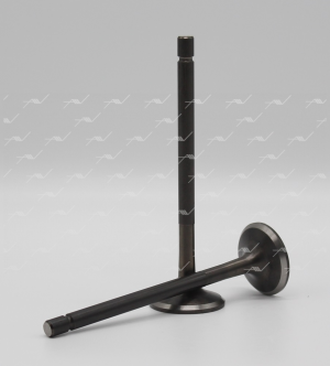 Клапан выпускной VE-30009 AUTOWELT