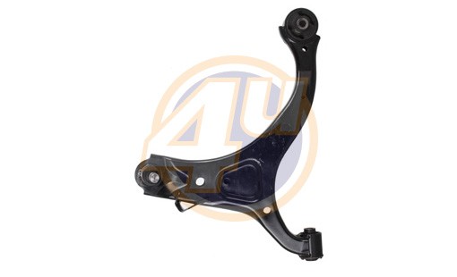 Рычаг подвески HYG11607 4U