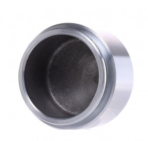 Деталь D025131 AUTOFREN SEINSA