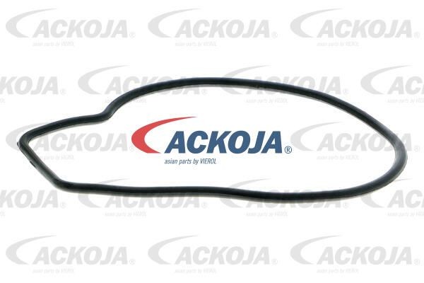Насос - помпа системы охлаждения ДВС A26-50005 ACKOJA