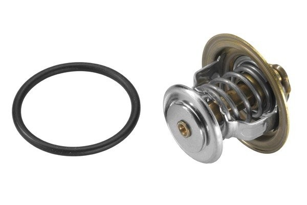 Деталь 425582D BORGWARNER