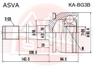 2000079572017 KABG3B ASVA