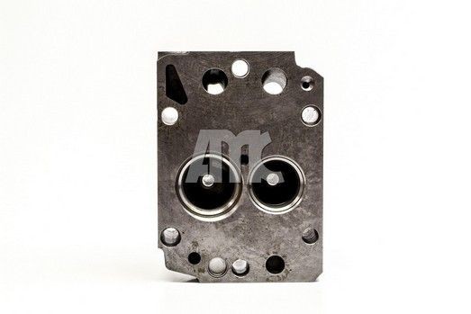 Головка блока цилиндров 909073K AMC