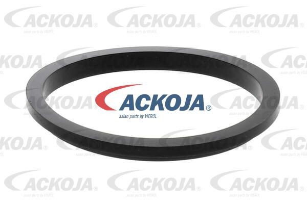 Диск тормозной A52-2501 ACKOJA