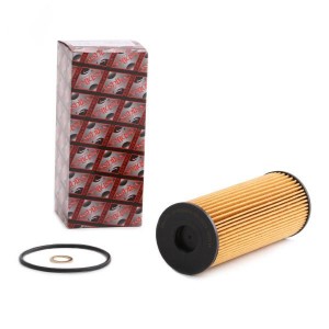 8033001060386 10ECO009 ASHIKA