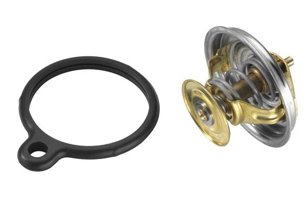 Деталь 404980D1 BORGWARNER