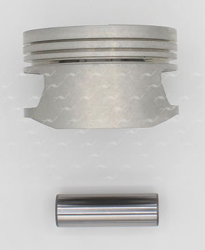 Поршень ДВС PN-53040 AUTOWELT