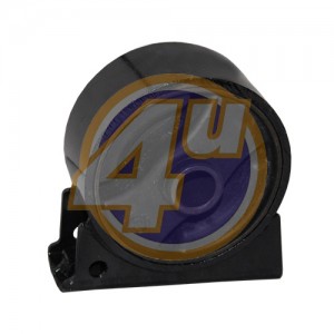 0015295787 MTEM00134 4U