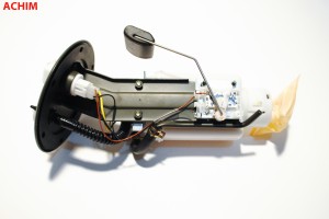 Насос электрический топливной системы EFP3008 ACHIM