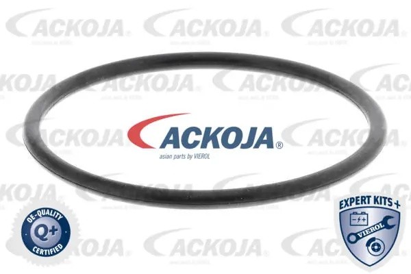 Насос - помпа системы охлаждения ДВС A52-0708 ACKOJA