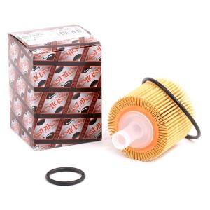 8033001309287 10ECO051 ASHIKA